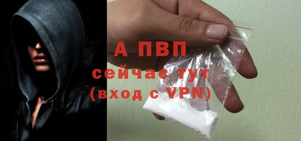 гидра Костерёво
