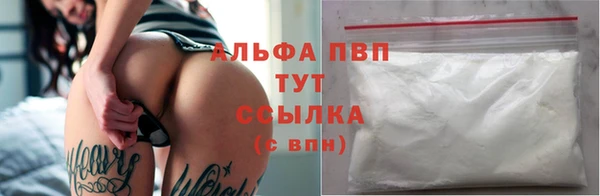 прущие грибы Киренск