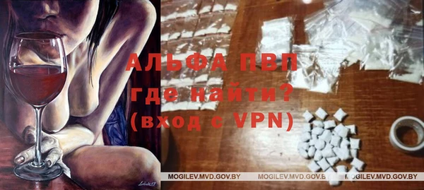 прущие грибы Киренск