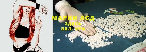 прущие грибы Киренск